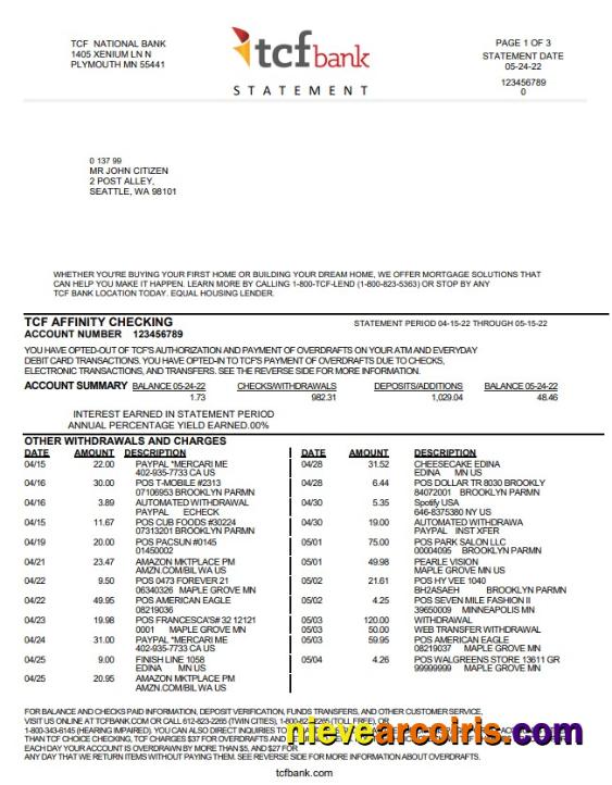 USA TCF Bank bank statement in Word and PDF format